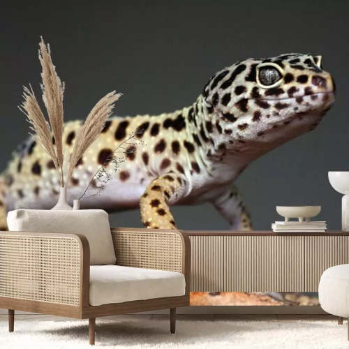 Papier peint  Lézard avec des points