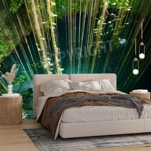 Papier peint  Lianes sur le lac dans la forêt vierge