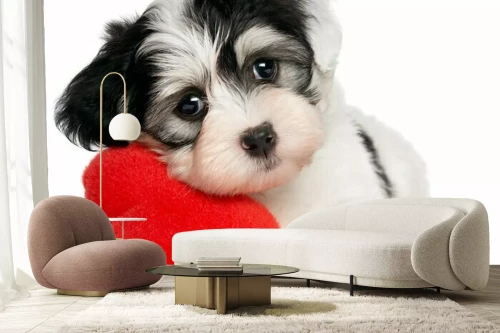 Visualisation du produit