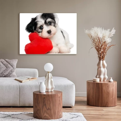 Visualisation du produit