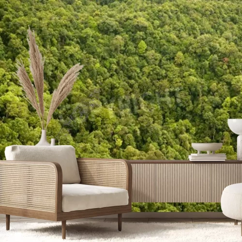 Papier peint  La forêt vierge vue d'avion