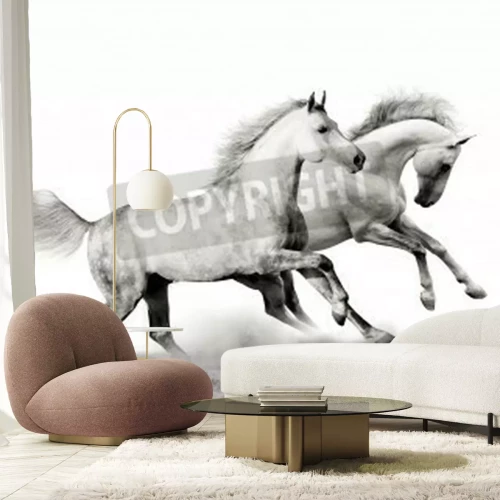 Papier peint  Représentation graphique de chevaux