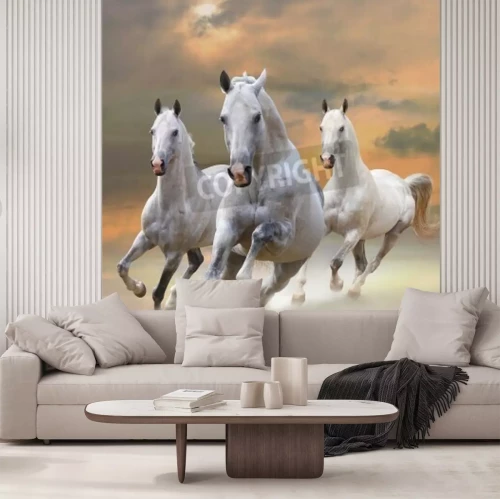 Papier peint  Chevaux au galop au soleil couchant