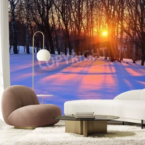 Papier peint  Bouleaux d'hiver et coucher de soleil