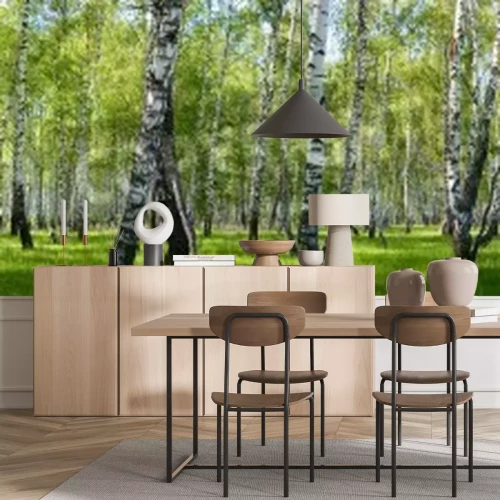 Papier peint  Panorama d'une forêt de bouleaux