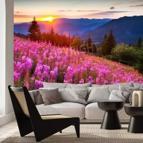 Papier peint  Fleurs de montagne et lever de soleil