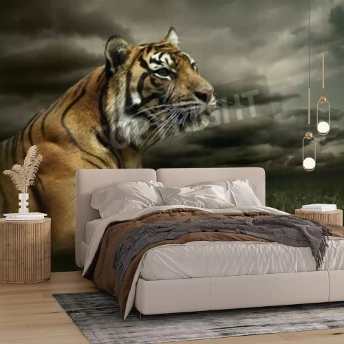 Papier peint  Tigre sur les nuages foncés