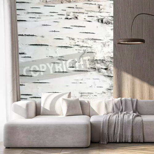 Papier peint  Macro d'écorce de bouleau