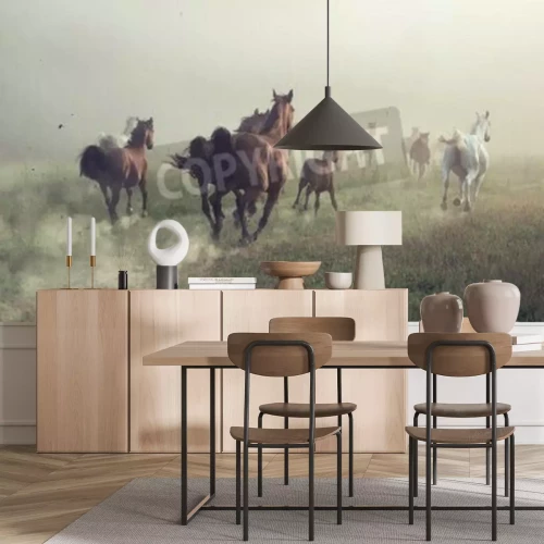 Papier peint  Chevaux au galop le matin