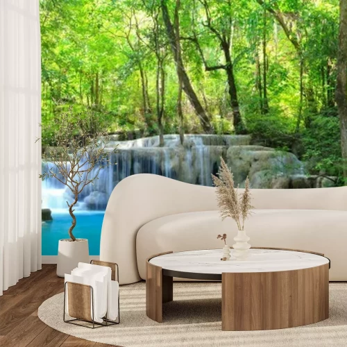 Papier peint  Le paysage de la forêt vierge et les cimes des arbres