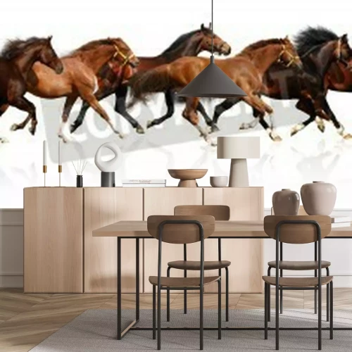 Papier peint  Silhouettes de chevaux sur fond blanc