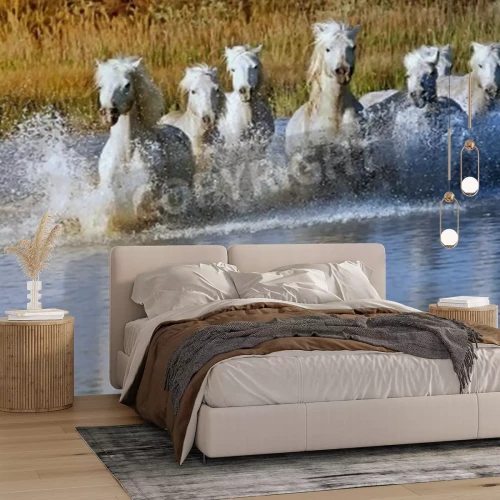 Papier peint  Chevaux qui courent dans la rivière