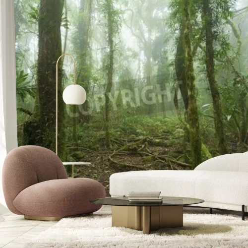 Papier peint  La brume dans la forêt tropicale