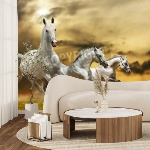 Papier peint  Chevaux qui courent dans l'herbe