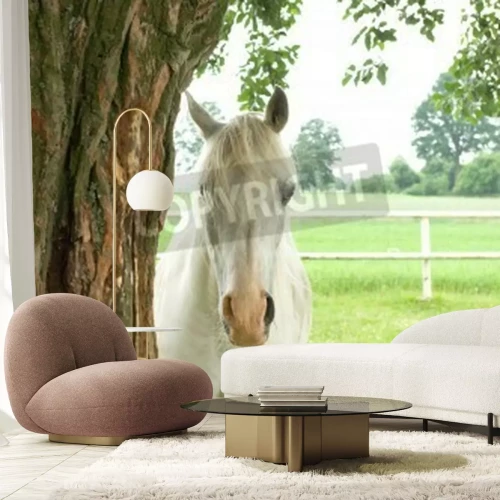 Papier peint  Cheval caché derrière un arbre