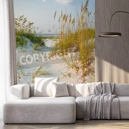 Papier peint  Plage dunes avec herbe