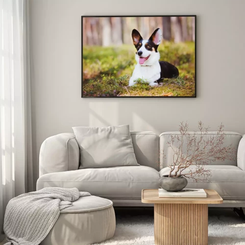 Visualisation du produit