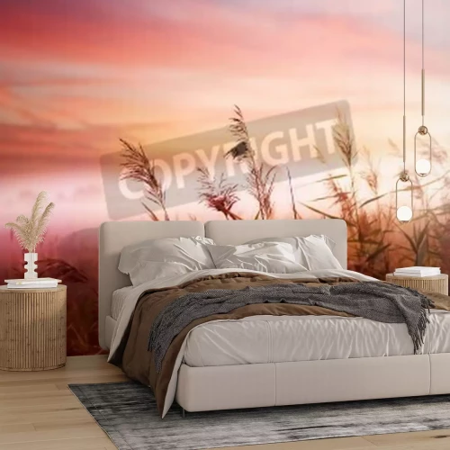 Papier peint  Un lever de soleil rose sur un champ