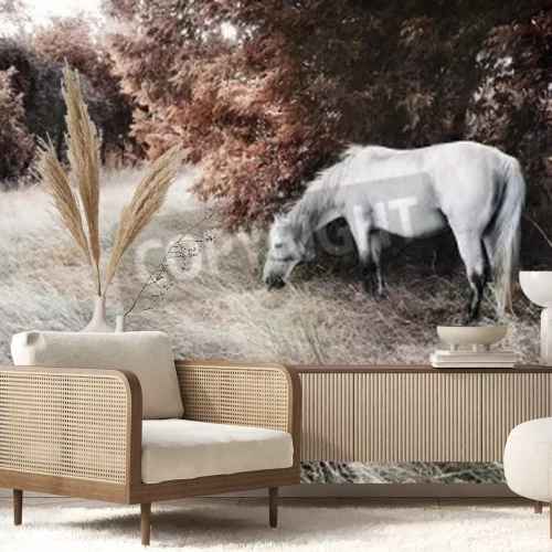 Papier peint  Paysage d'automne avec un cheval