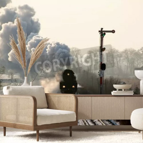 Papier peint  Train noir paysage d'hiver