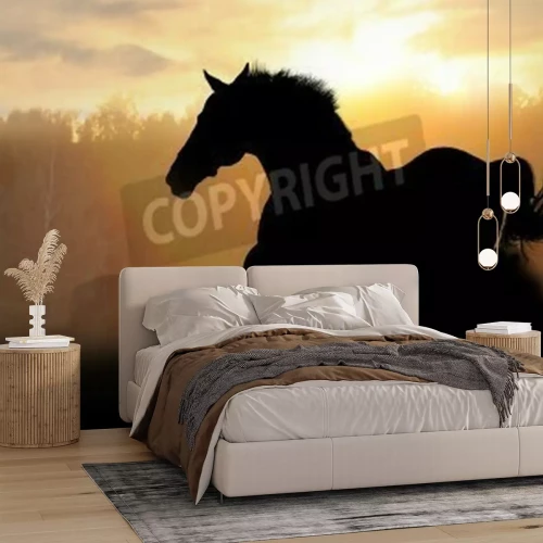 Papier peint  Silhouette de cheval au coucher du soleil