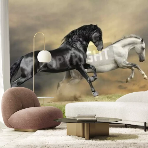 Papier peint  Chevaux au galop dans le pré