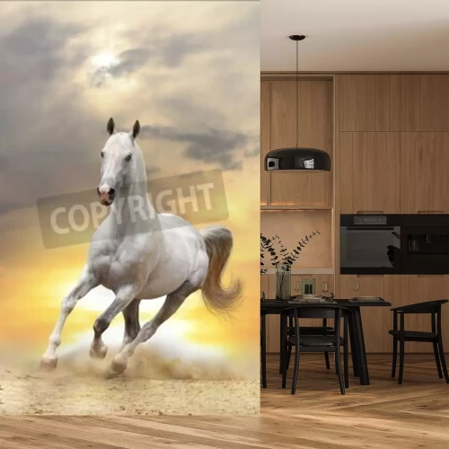 Papier peint  Cheval majestueux dans le désert