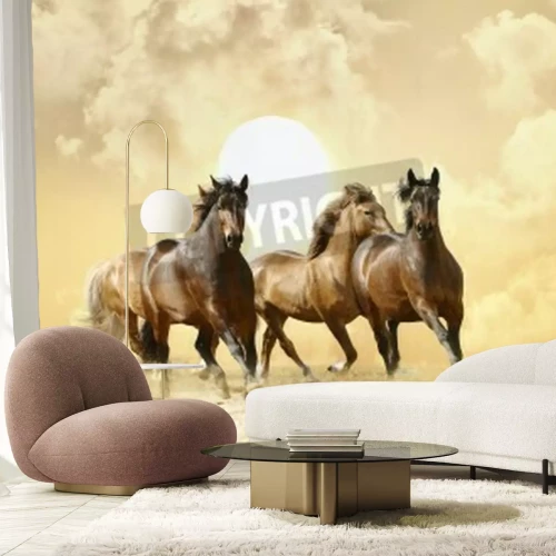 Papier peint  Troupeau de chevaux au soleil