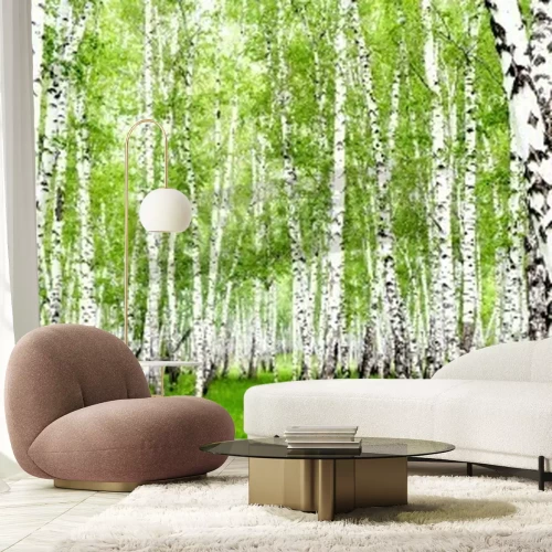 Papier peint  Bouleaux aux couleurs vives