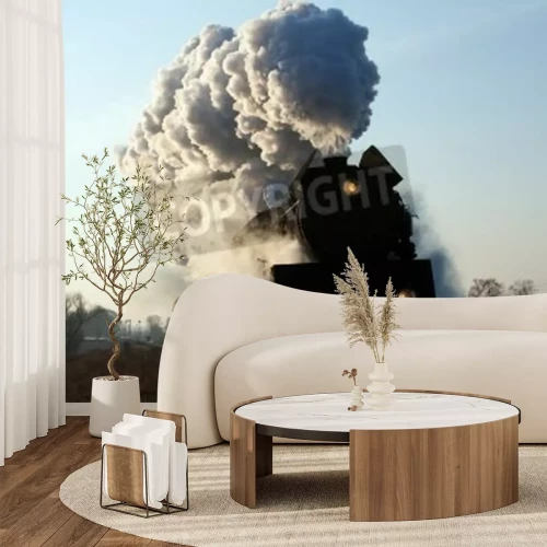 Papier peint  Train noir dans la vapeur