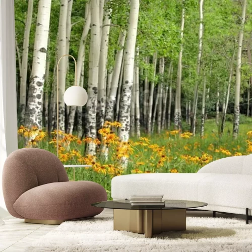 Papier peint  Bouleaux et fleurs jaunes