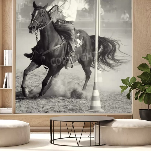 Papier peint  Etalon avec un cavalier rodéo