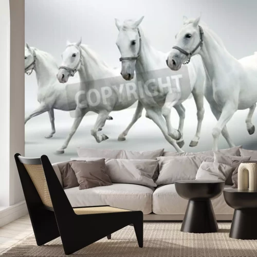 Papier peint  Chevaux blancs sur fond gris
