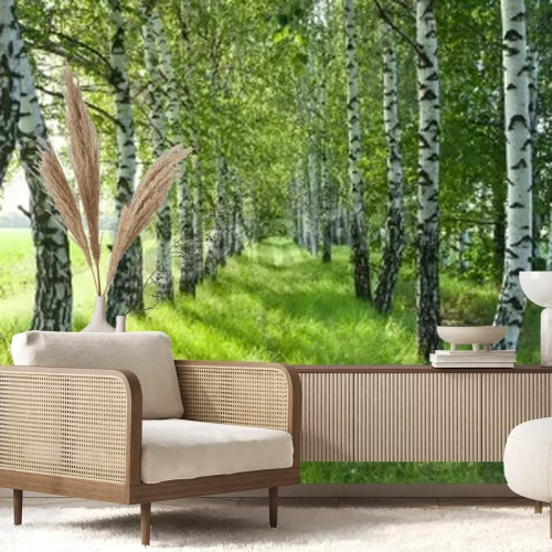 Papier peint  Bouleaux plantés sur le terrain