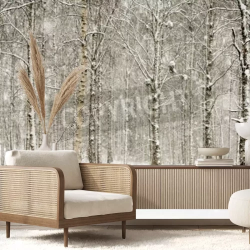 Papier peint  Paysage de bouleaux dans la neige