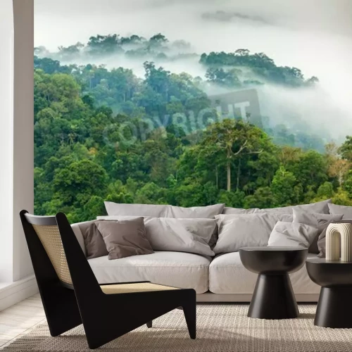 Papier peint  La forêt vierge dans un brouillard épais