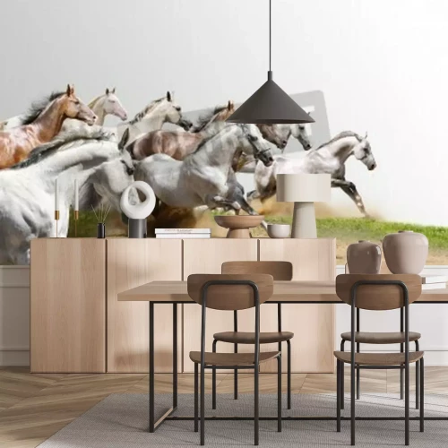 Papier peint  Troupeau de chevaux en course