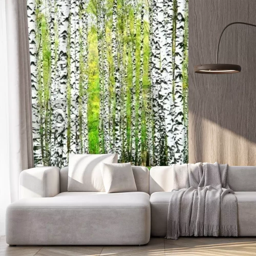 Papier peint  Chemin à travers un bosquet de bouleaux