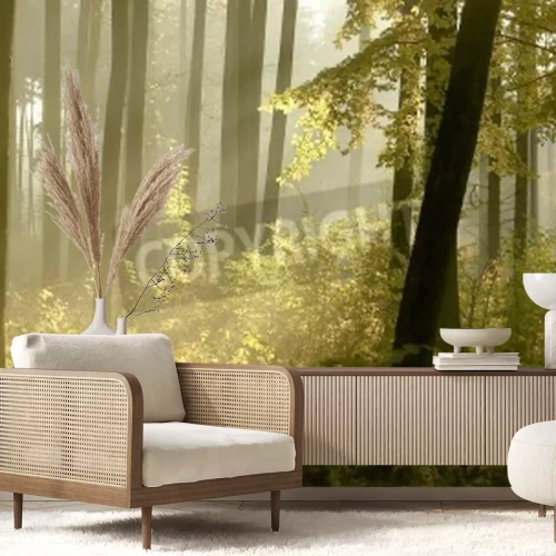 Papier peint  Sous-bois luxuriant