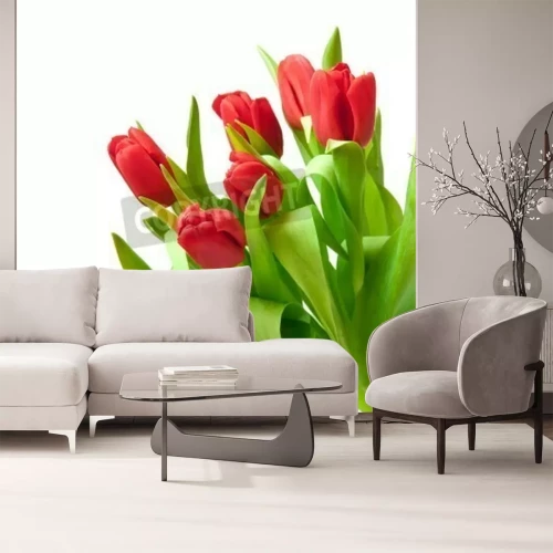 Papier peint  Bouquet de tulipes rouges