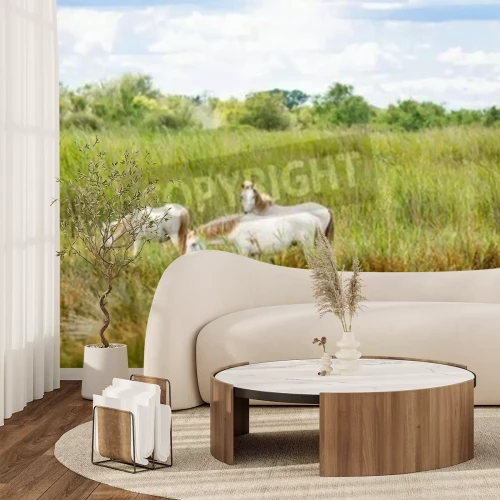Papier peint  Chevaux en pâturage dans le pré