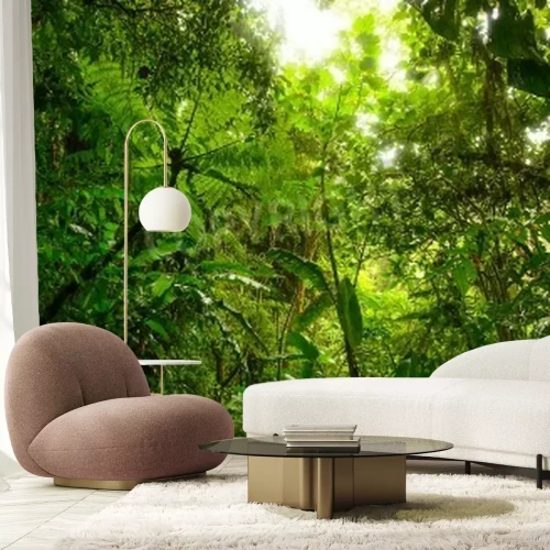 Papier peint  La vue sur la jungle