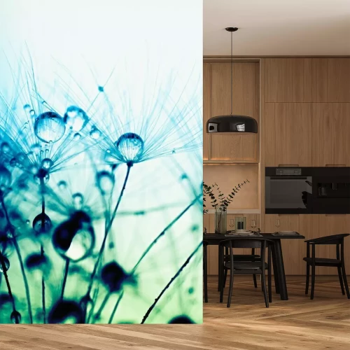 Papier peint  Graines de pissenlit turquoises