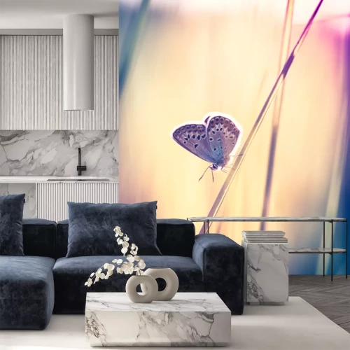 Papier peint  Papillon de nuit sur un brin d'herbe