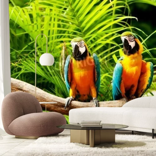 Papier peint  Jungle perroquets
