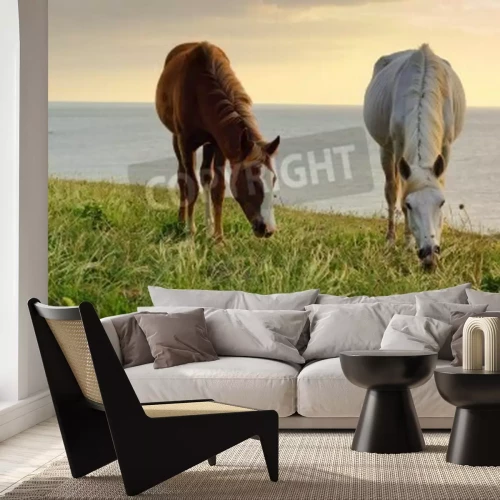 Papier peint  Chevaux en pâturage