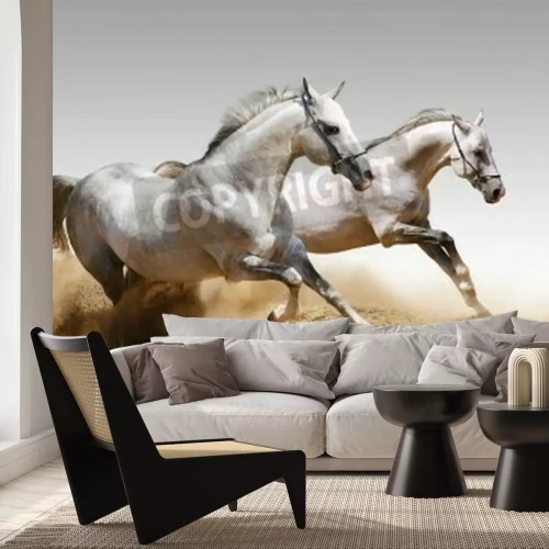 Papier peint  Chevaux en course