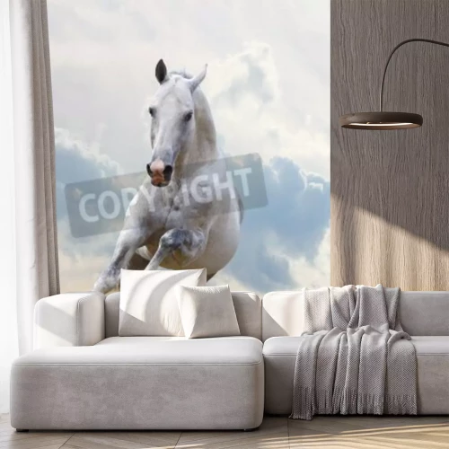Papier peint  Cheval blanc sur le ciel