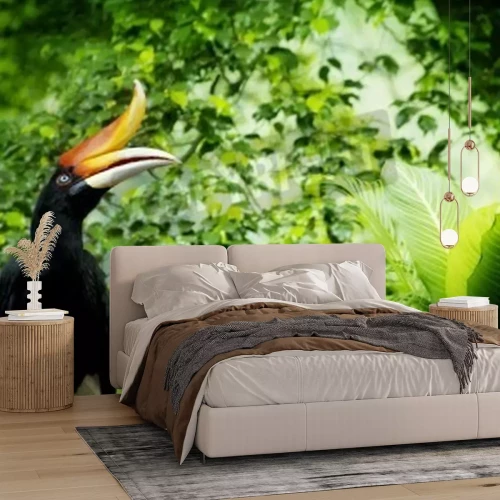 Papier peint  Oiseau exotique dans la forêt vierge