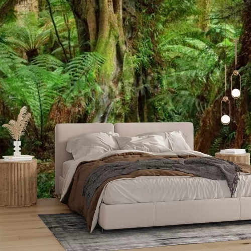 Papier peint  Les tropiques en Australie